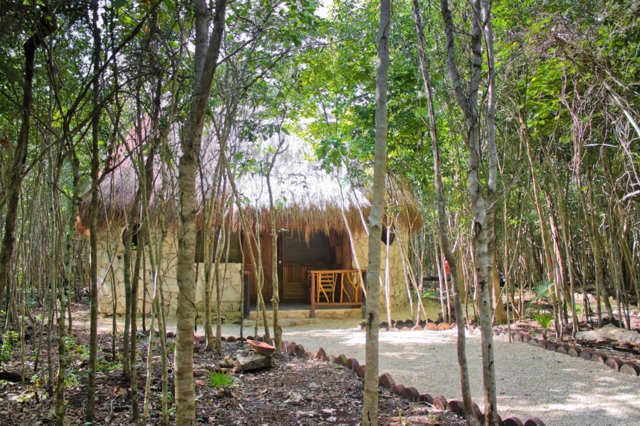 Aldea Maya-Ha Cabanas Con Cenotes Puerto Morelos Eksteriør billede
