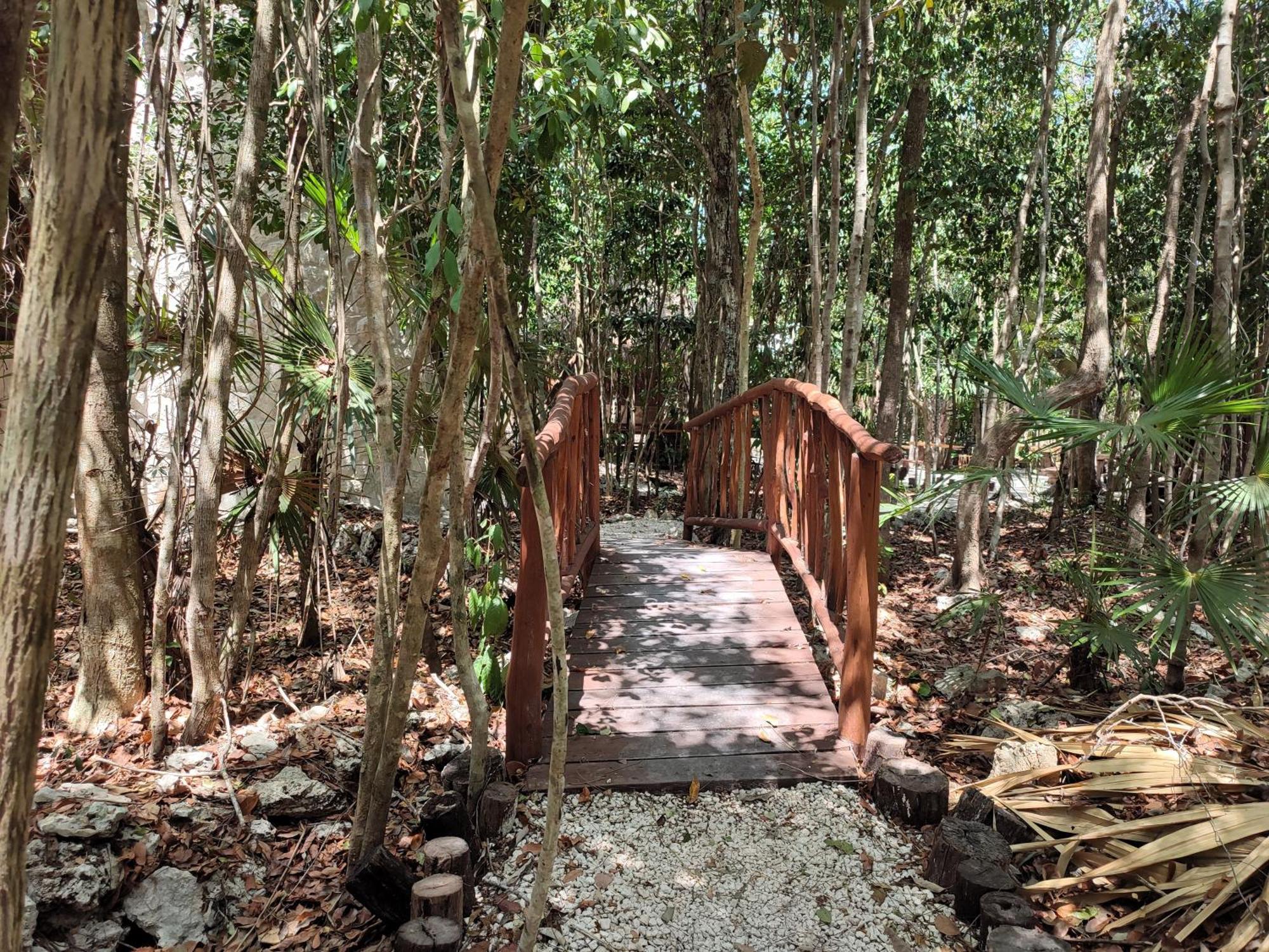 Aldea Maya-Ha Cabanas Con Cenotes Puerto Morelos Eksteriør billede