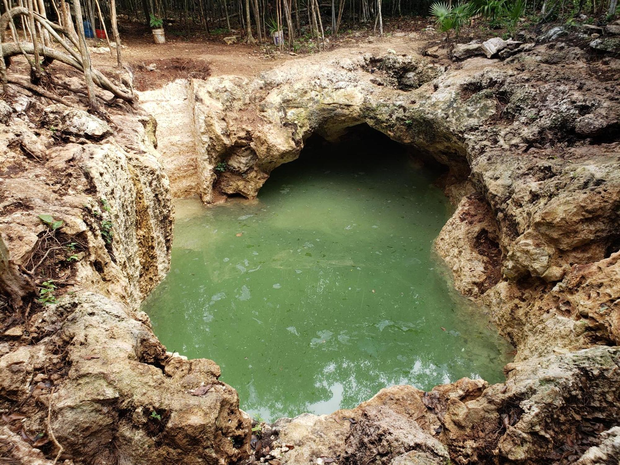 Aldea Maya-Ha Cabanas Con Cenotes Puerto Morelos Eksteriør billede