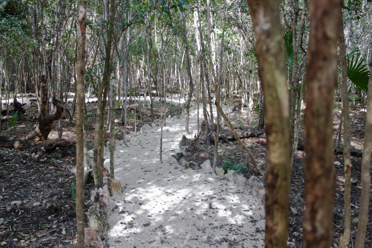Aldea Maya-Ha Cabanas Con Cenotes Puerto Morelos Eksteriør billede