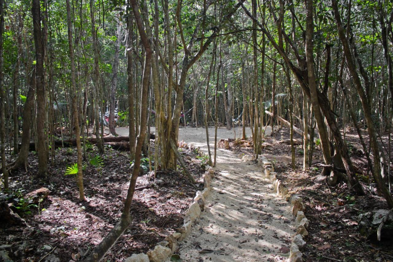 Aldea Maya-Ha Cabanas Con Cenotes Puerto Morelos Eksteriør billede